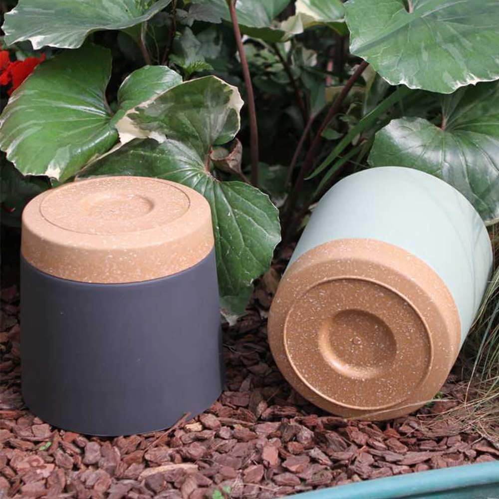Vasos para plantas, vasos gran - Vase Decor avaliação e preço