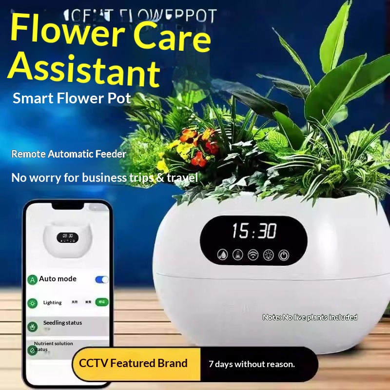 Vaso de Flores Inteligente com - Vase Decor avaliação e preço